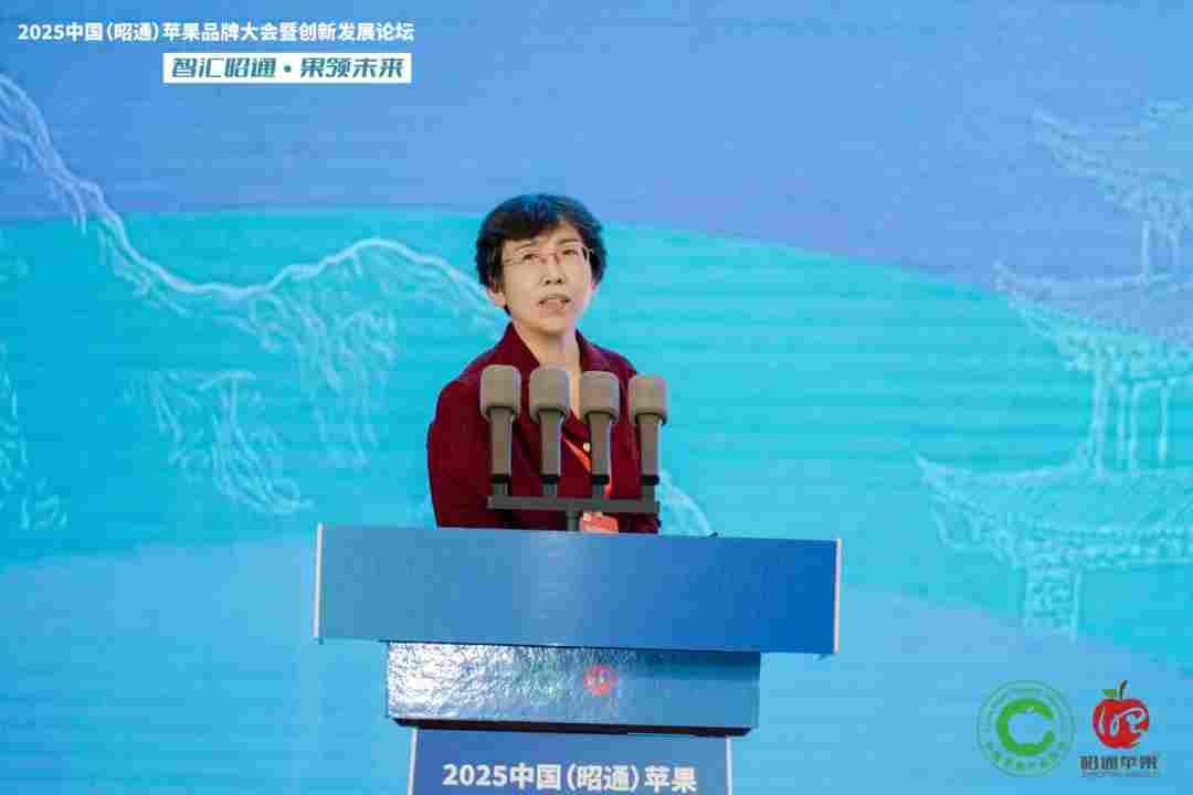 智汇昭通 果领未来-2025中国(昭通)苹果品牌大会暨创新发展论坛在云南昭通隆重举办(图12) 智汇昭通 果领未来-2025中国(昭通)苹果品牌大会暨创新发展论坛在云南昭通隆重举办(图12)