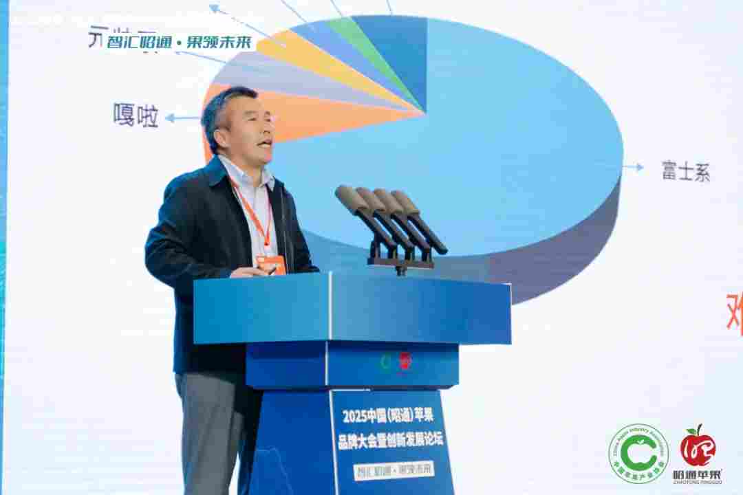 智汇昭通 果领未来-2025中国(昭通)苹果品牌大会暨创新发展论坛在云南昭通隆重举办(图17) 智汇昭通 果领未来-2025中国(昭通)苹果品牌大会暨创新发展论坛在云南昭通隆重举办(图17)