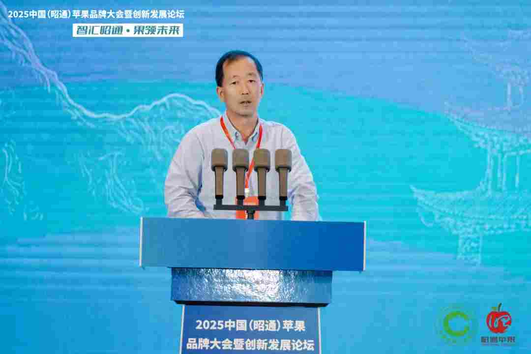 智汇昭通 果领未来-2025中国(昭通)苹果品牌大会暨创新发展论坛在云南昭通隆重举办(图18) 智汇昭通 果领未来-2025中国(昭通)苹果品牌大会暨创新发展论坛在云南昭通隆重举办(图18)