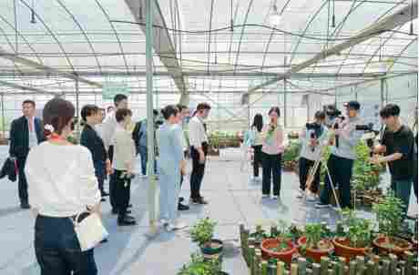 2025首届中国辣椒美食荟在湖南湘阴启幕(图4) 2025首届中国辣椒美食荟在湖南湘阴启幕(图4)